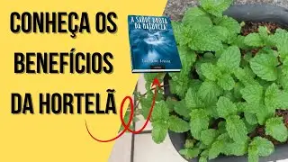 A Sa&uacute;de Brota da Natureza - Os Benef&iacute;cios da Hortel&atilde;!