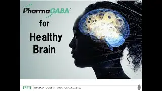 A Top Ingredient for a Smart Brain  The Science Behind PharmaGABA
