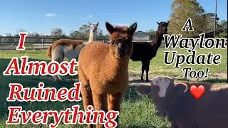 I Did Something Jake & Lester Would Do