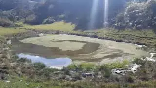 BELLA CARMENCITA . LOS ALEGRES DEL GUAVIO