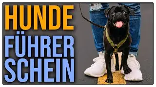 Sachkundenachweis - Sinnvoll oder albern?  - TGH 455