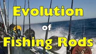 How Fishing Rods Have Evolved Through Time