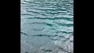 Bonus Episode: Full Conversation with Kathryn Carovano from Kachemak Kelp