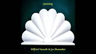 Wilfried Hanrath & Jon Shuemaker - Surprise (single version)