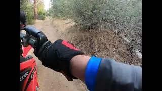 Miami trails next