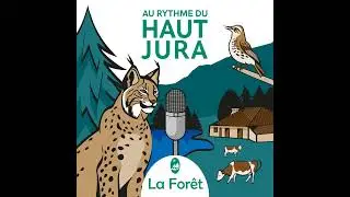 Plus que des arbres