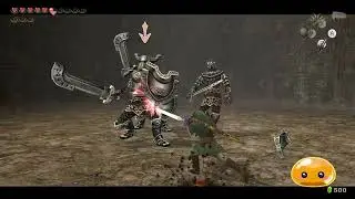 【The Legend of Zelda Twilight Princess HD】Facing the Trio of Darknuts in the Cave of Ordeals!