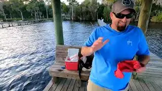 Catching Big Channel Catfish Doctors Lake #catfishing  #dockfishing #channelcatfish