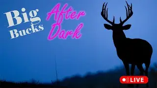 Watch Big Bucks Grow! Nightly Live Stream!