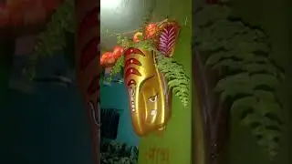 Plant setup ideas for balconies🪴✨#balcony #plantingideas #plantsetup #wallhanging #diy #viral#fyp