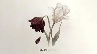 Three Days of Rain - Devil's Spring (Lyric video)
