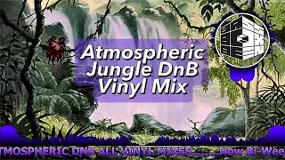 Chill Atmospheric Jungle Vinyl Mix - (Hurt Back, No Cam Soz 😣)..