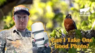Shootin' It With Shopes: Can I Take One Good Photo? (Bird Photography)