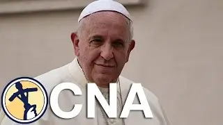 Vatican reform unhampered by 'deplorable' leak, Pope says