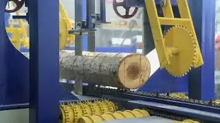 Double cutting vertical band sawmill production lines for sale