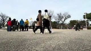 Osaka Castle Christmas Eve Walk 🎄✨ | Stunning Winter Night Views in Japan #Shorts