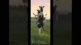 ITZ DA FIRST OF THE MONTH🔥🔥🔥 #cows #dancingcows #funny #edit