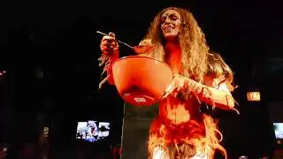 Disasterina, 