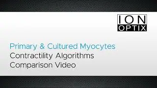 Contractility Algorithms for Primary and Cultured Myocytes