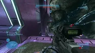 When Halo MCC challenges probability laws