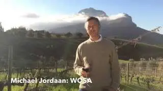 Michael Jordaan on his expectations for Cape Wine 2015