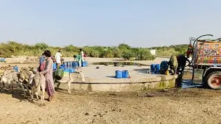 Desert Life In Pakistan. Bahut Mushkil Se Pani Milta Hai