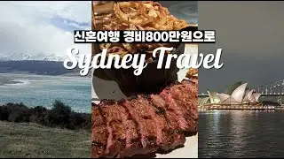 800만원으로 다녀온 호주 시드니 뉴질랜드 신혼여행  7박 9일 일정 경비 총정리