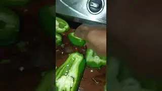 Unik stafing ke sath Simla mirch bharta recipe super tasty 😋