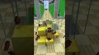 Most Ridiculous Gold Farm