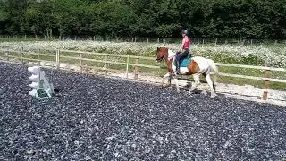 Buzz canter right