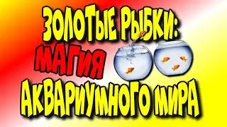Золотые рыбки: Магия аквариумного мира/Goldfish: Aquarium Magic♻️ [Olga Pak]