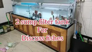 4 FEET обсуждают установку отстойника аквариума #salem #chennai #aquarium #diy #sumpfilter #filte...