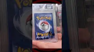 $5,000 PSA 10 Sealdass Charizard - Insane Pokemon Collection Keeps Growing! #shorts