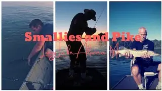 SMALLIES on Long Lake, Alpena, MI (Big Pike Too)