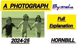 A PHOTOGRAPH. CLASS 11. *FULL EXPLANATION* 2024-25. HORNBILL.