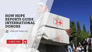 How HOPE Reports Guide International Donors