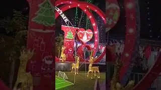 Christmas celebration IC colony Mumbai 25/12/22