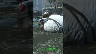 Didn't know he was there #fallout4 #swan #roadto100subs #shorts