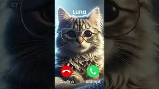Luna is calling #cat #ringtone #funny #ai