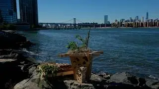 Seed Bombs: Technologies for Ecological Design at Bushwick Inlet Park