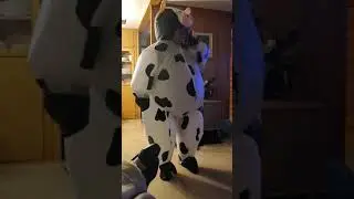 I like to moo-ve it