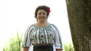 Formatie Nunta Constanta