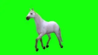 Free Green screen Horse runing / Top love