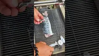 Fish Fillet Slicing Machine for Snakehead #fishslice #fishprocessing #slicingmachine