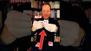 Impossible MAGIC Card Trick #magic #diy #magicrevealed