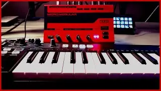Nord Micro Modular - Digital Spaghetti from the 90s [No Talking Demo]