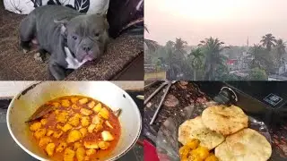 ঘরের সব কাজ শেষ করে...তারপর সন্ধ্যার সময় চা খেয়ে বানিয়ে নিলাম গরম গরম করাইশুটির কচুরি #vlog #food