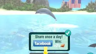 Dolphin Paradise: Wild Friends - NEW METAL TRAILER!