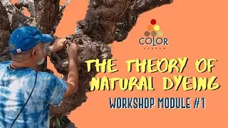 Understanding the HISTORY and CHEMISTRY of Natural Dyes | Color Ashram WORKSHOPS #naturaldyeing