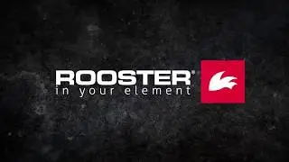 Rooster - In Your Element